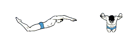 butterfly.gif
