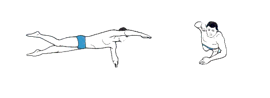 free.gif